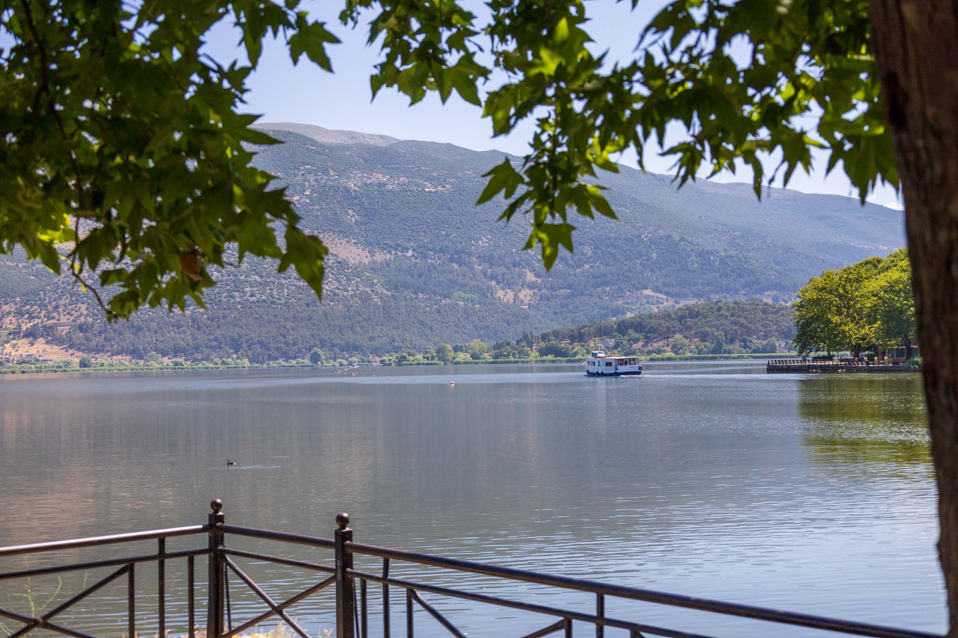 Ioannina