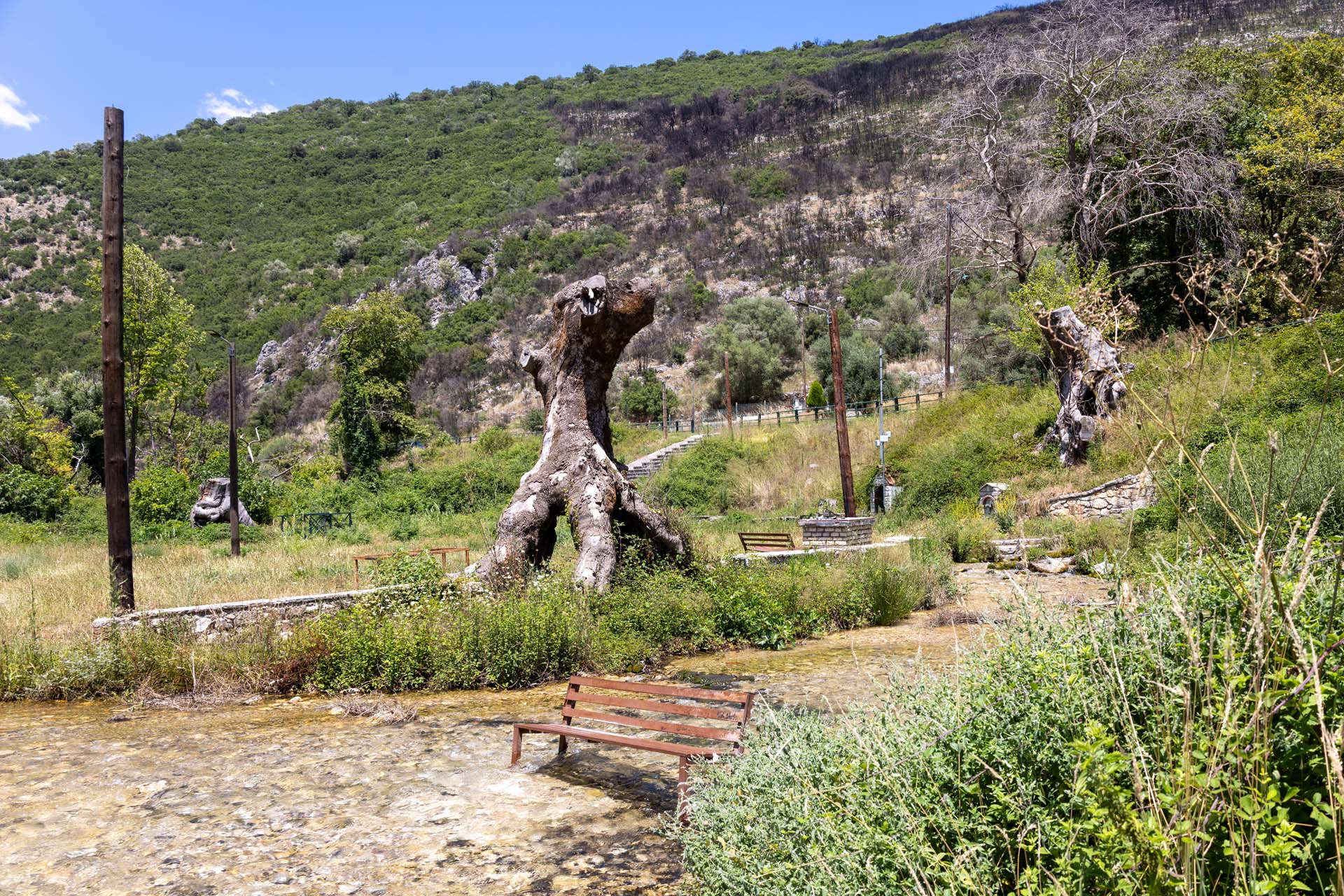 Agios Georgios Platanenwald am Ufer des Louros