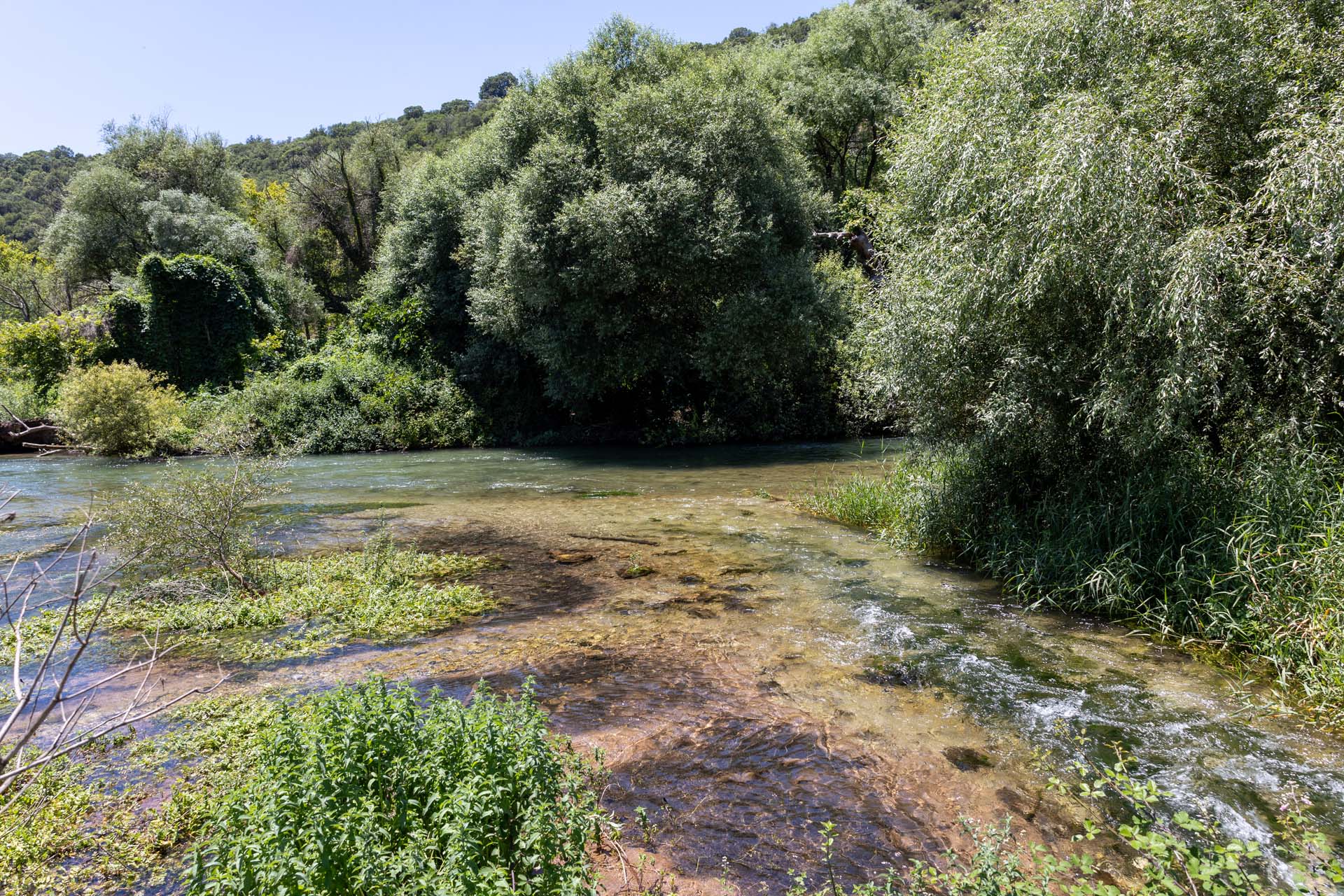 Schattenpl&auml;tze am Ufer des Flusslaufs