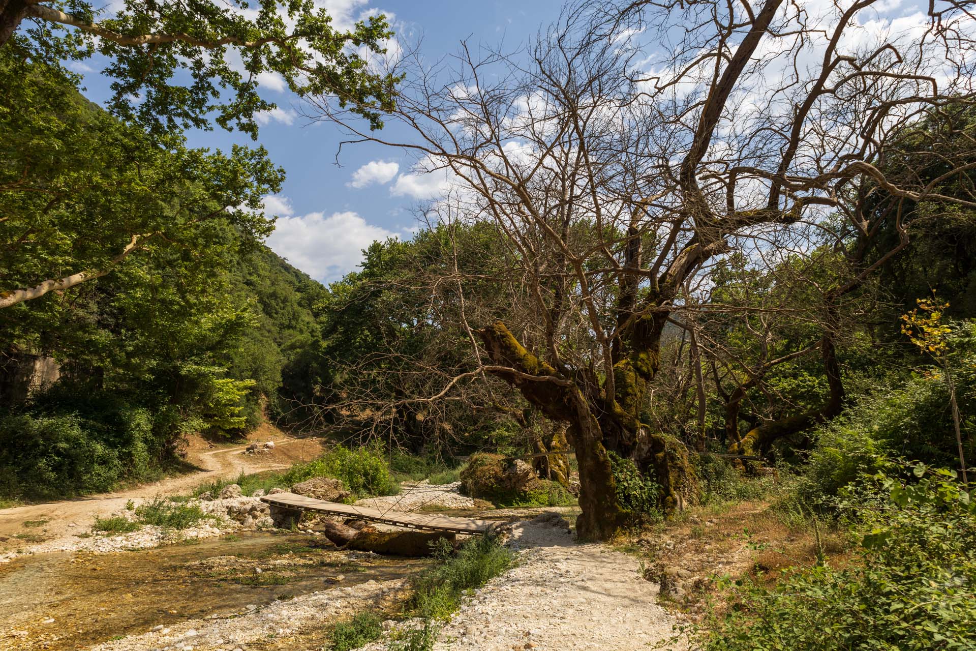 Souli Watermills