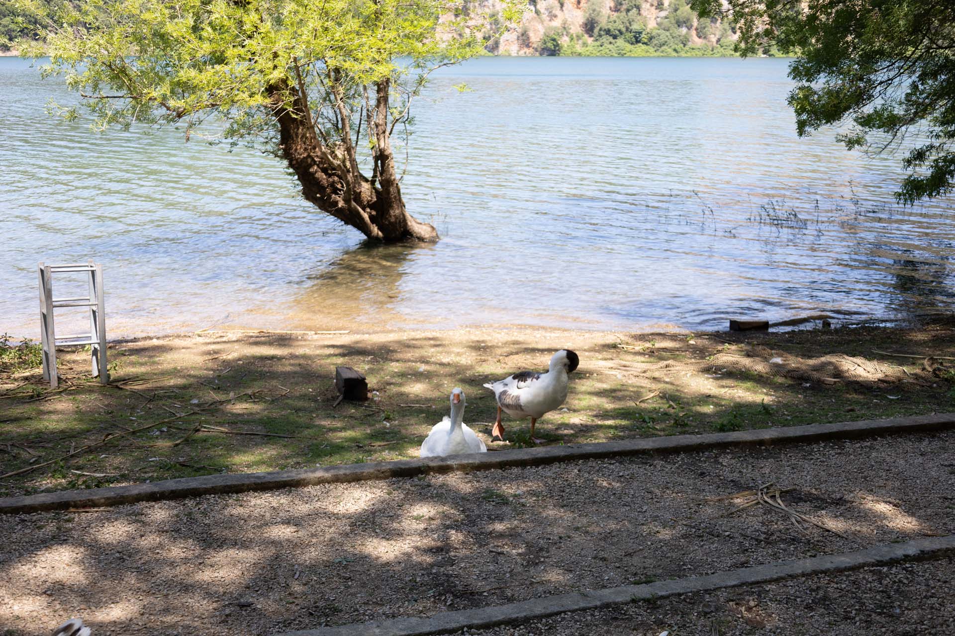 Blick &uuml;ber die Wasseroberfl&auml;che des Sees