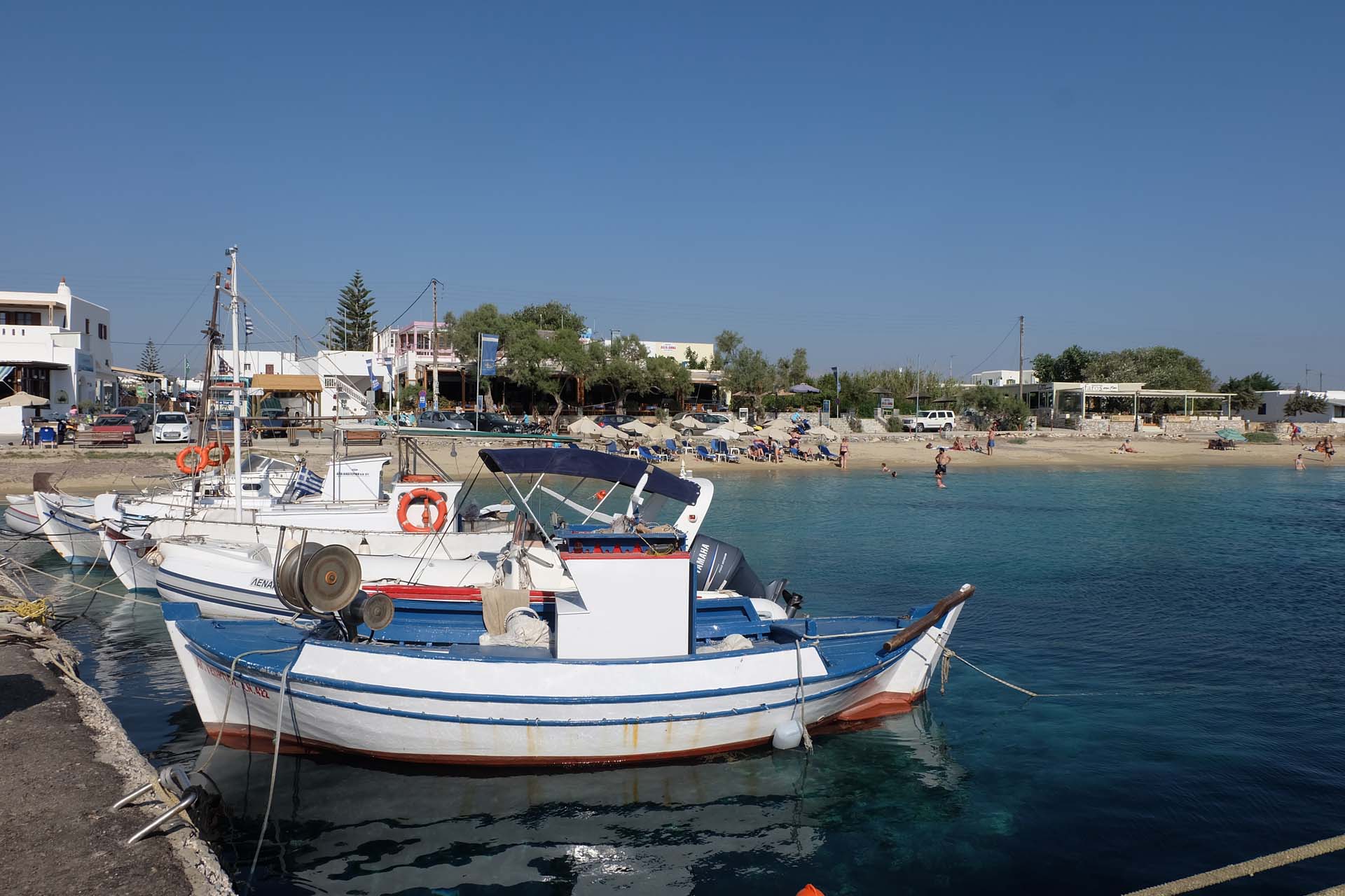 Impressionen Agia Anna, frischer Octopus, Fischerhafen, Strand und Meer