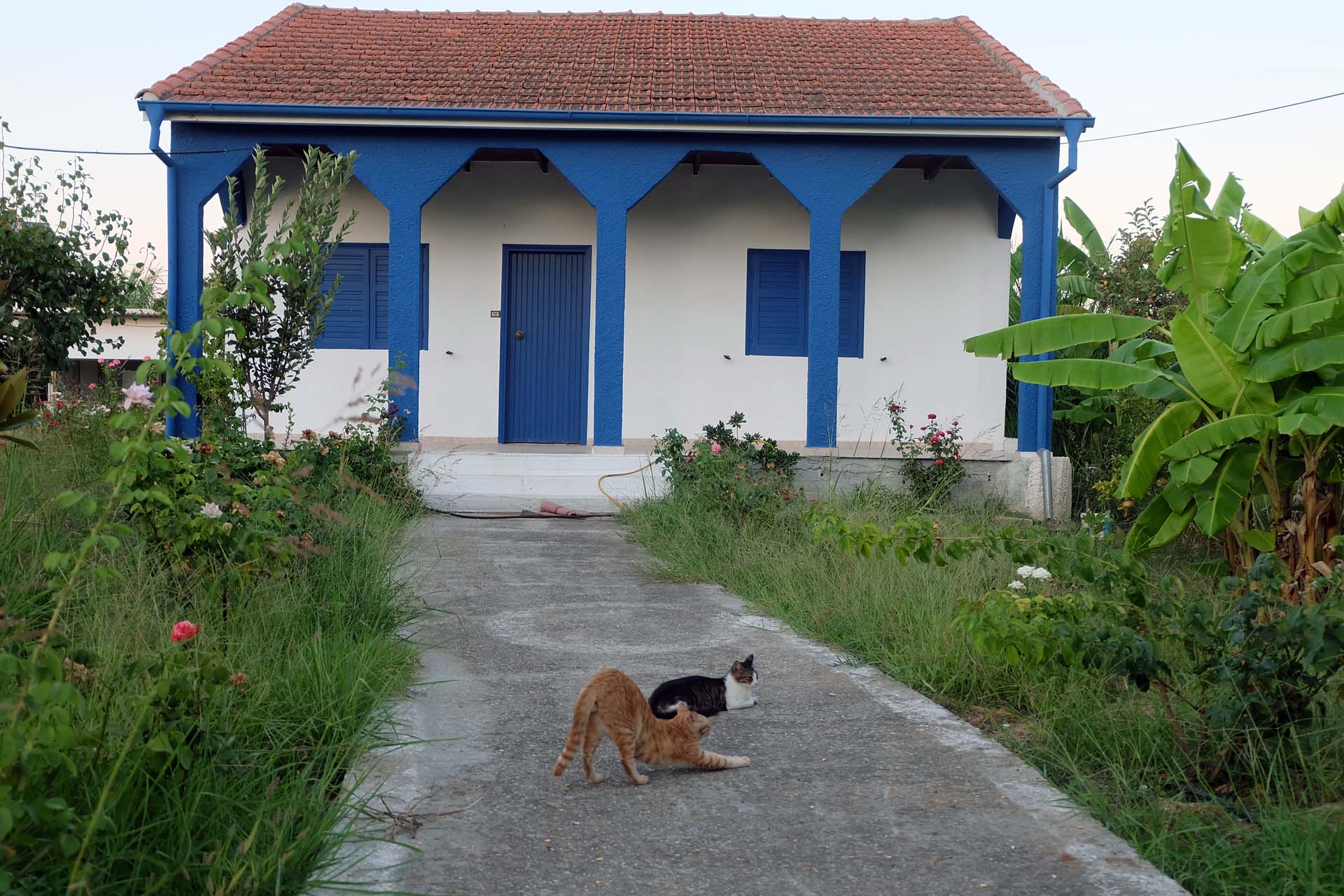 Kyllini Impressionen