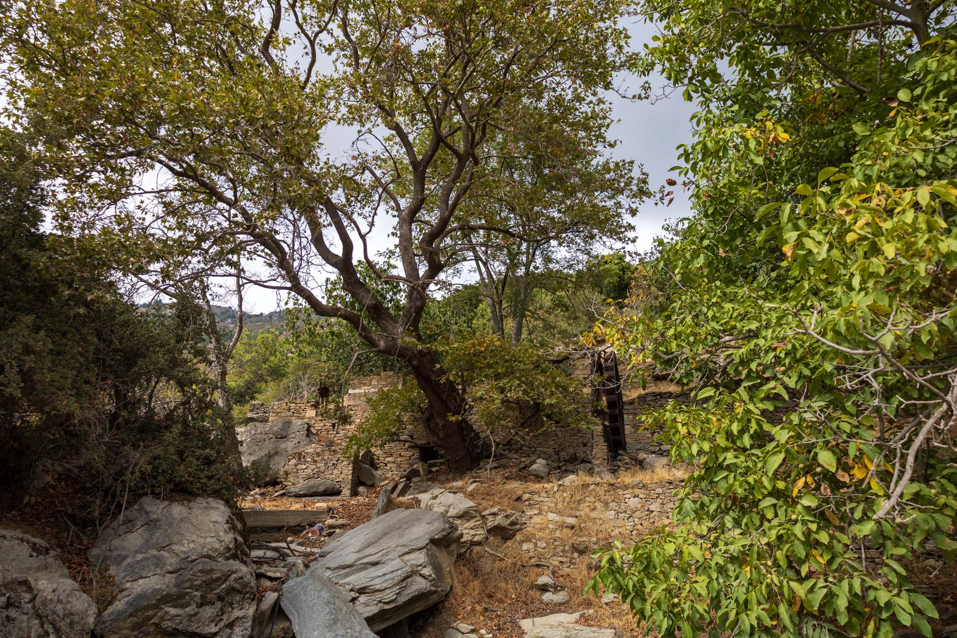 Maries Wassermuehle Ruine